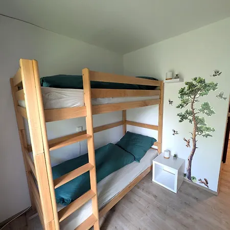 Waldblick Mit Balkon Und Dachterrasse Mit Traumhaftem Suedblick - Mein Swh Apartment