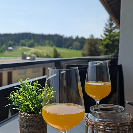 Apartment Waldblick Mit Balkon Und Dachterrasse Mit Traumhaftem Suedblick - Mein Swh