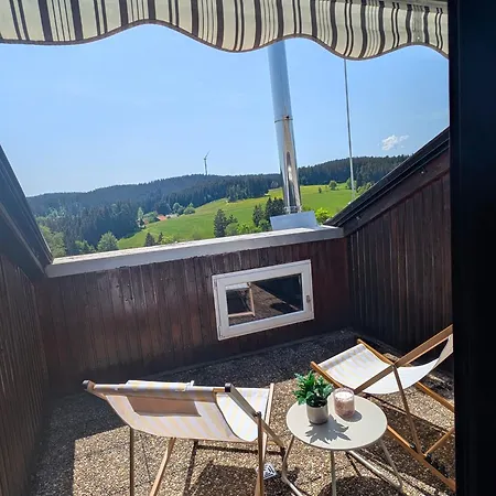 Waldblick Mit Balkon Und Dachterrasse Mit Traumhaftem Suedblick - Mein Swh Apartment *