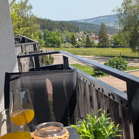 Waldblick Mit Balkon Und Dachterrasse Mit Traumhaftem Suedblick - Mein Swh Apartment Schonach im Schwarzwald