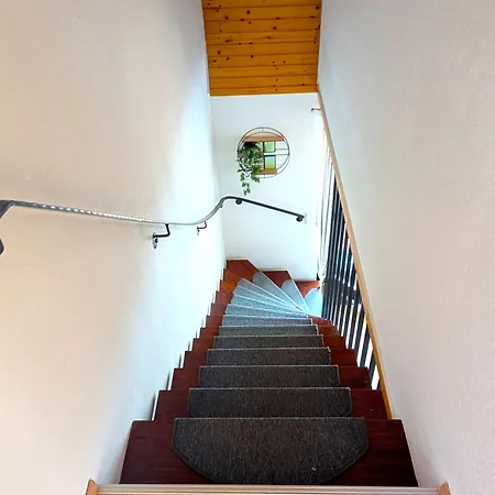 Waldblick Mit Balkon Und Dachterrasse Mit Traumhaftem Suedblick - Mein Swh Apartment *