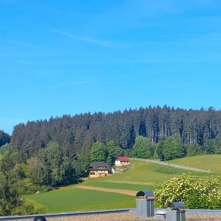 Waldblick Mit Balkon Und Dachterrasse Mit Traumhaftem Suedblick - Mein Swh * Schonach im Schwarzwald