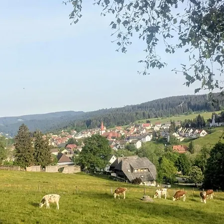 Apartment Waldblick Mit Balkon Und Dachterrasse Mit Traumhaftem Suedblick - Mein Swh Schonach im Schwarzwald