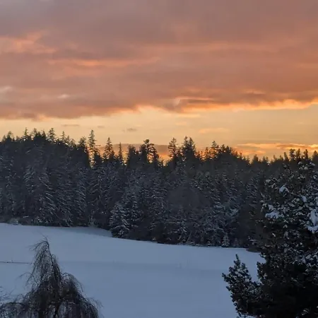 Waldblick Mit Balkon Und Dachterrasse Mit Traumhaftem Suedblick - Mein Swh Apartment *