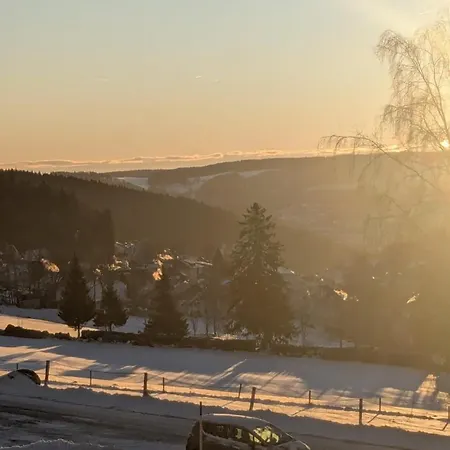 Waldblick Mit Balkon Und Dachterrasse Mit Traumhaftem Suedblick - Mein Swh